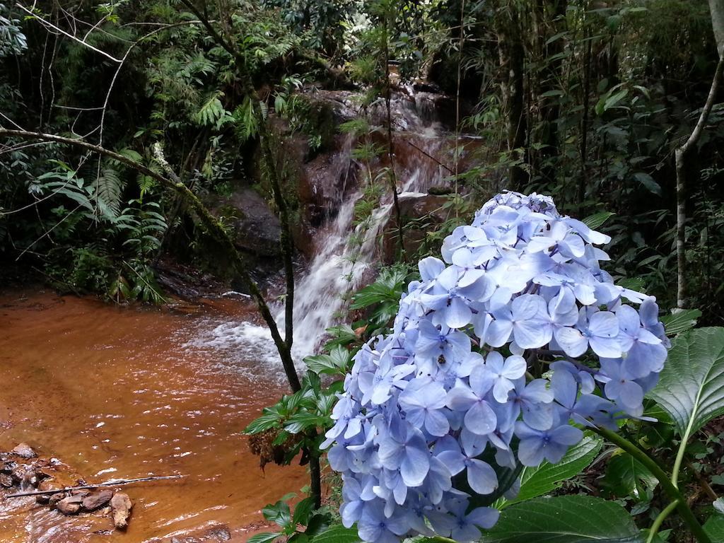 Pousada Da Oma Cunha Buitenkant foto