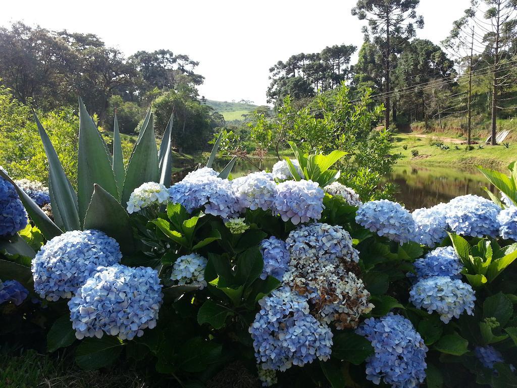 Pousada Da Oma Cunha Buitenkant foto