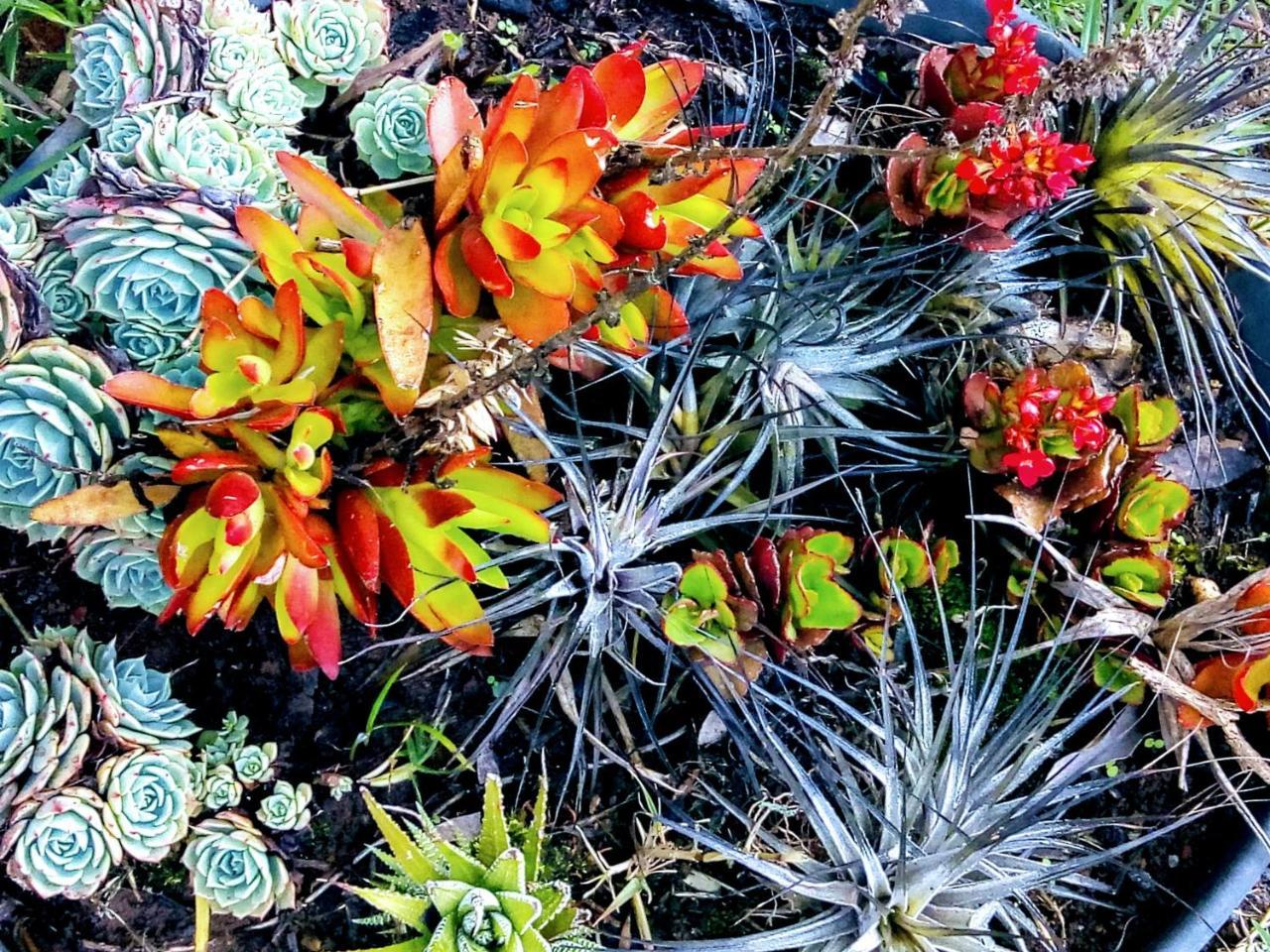 Pousada Da Oma Cunha Buitenkant foto